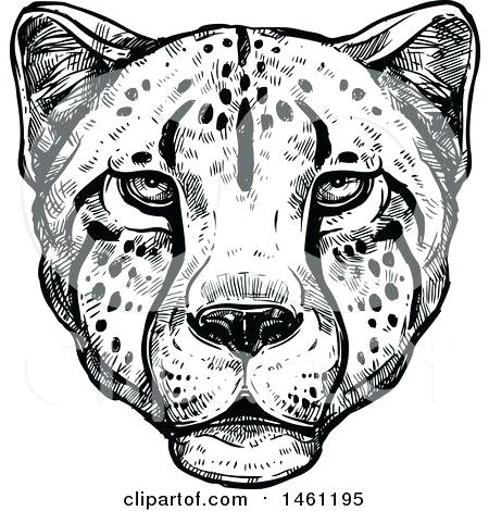 Cheetah Face Clipart 450x470 Cheetah Face Clipart