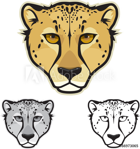 Cheetah Face 469x500 Cheetah Face