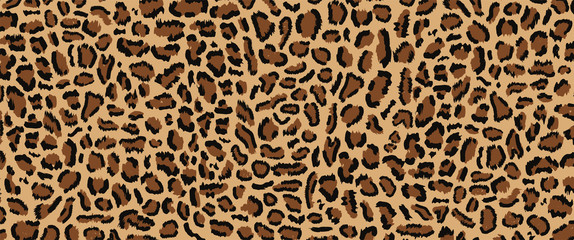 Download Cheetah Pattern Vector at Vectorified.com | Collection of ...