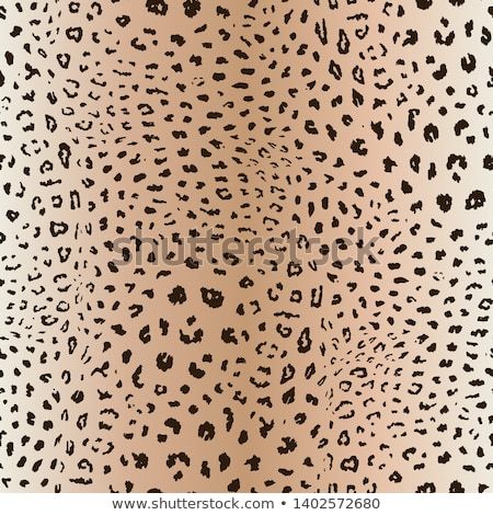 450x470 Cheetah Pattern Realistic Animal Print Texture Vector Seamless