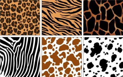 420x262 Different Decorative Animal Pattern Vector Free Download