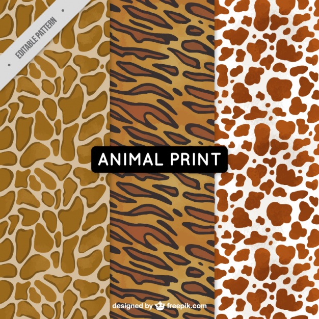 626x626 Set Of Animal Patterns Vector Free Download