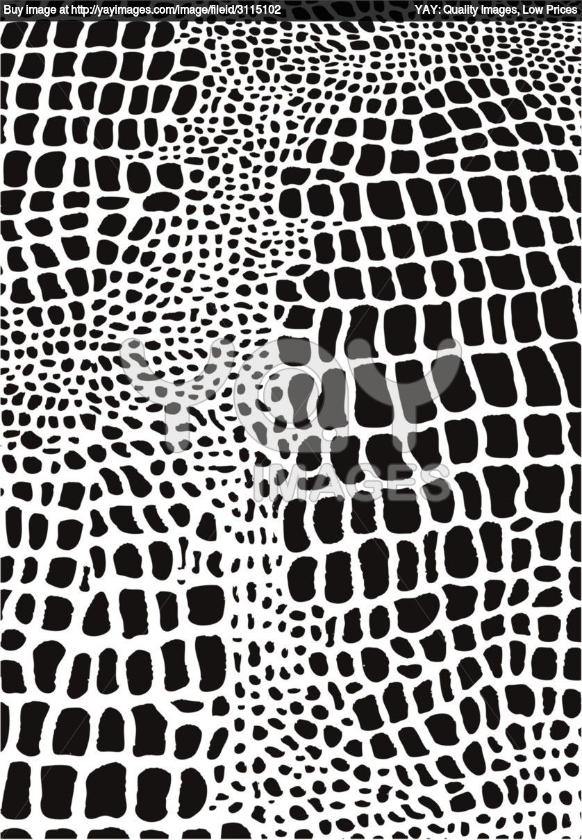 838x1210 Animal Skin Patterns Royalty Free Vector Of Animal Skin Pattern
