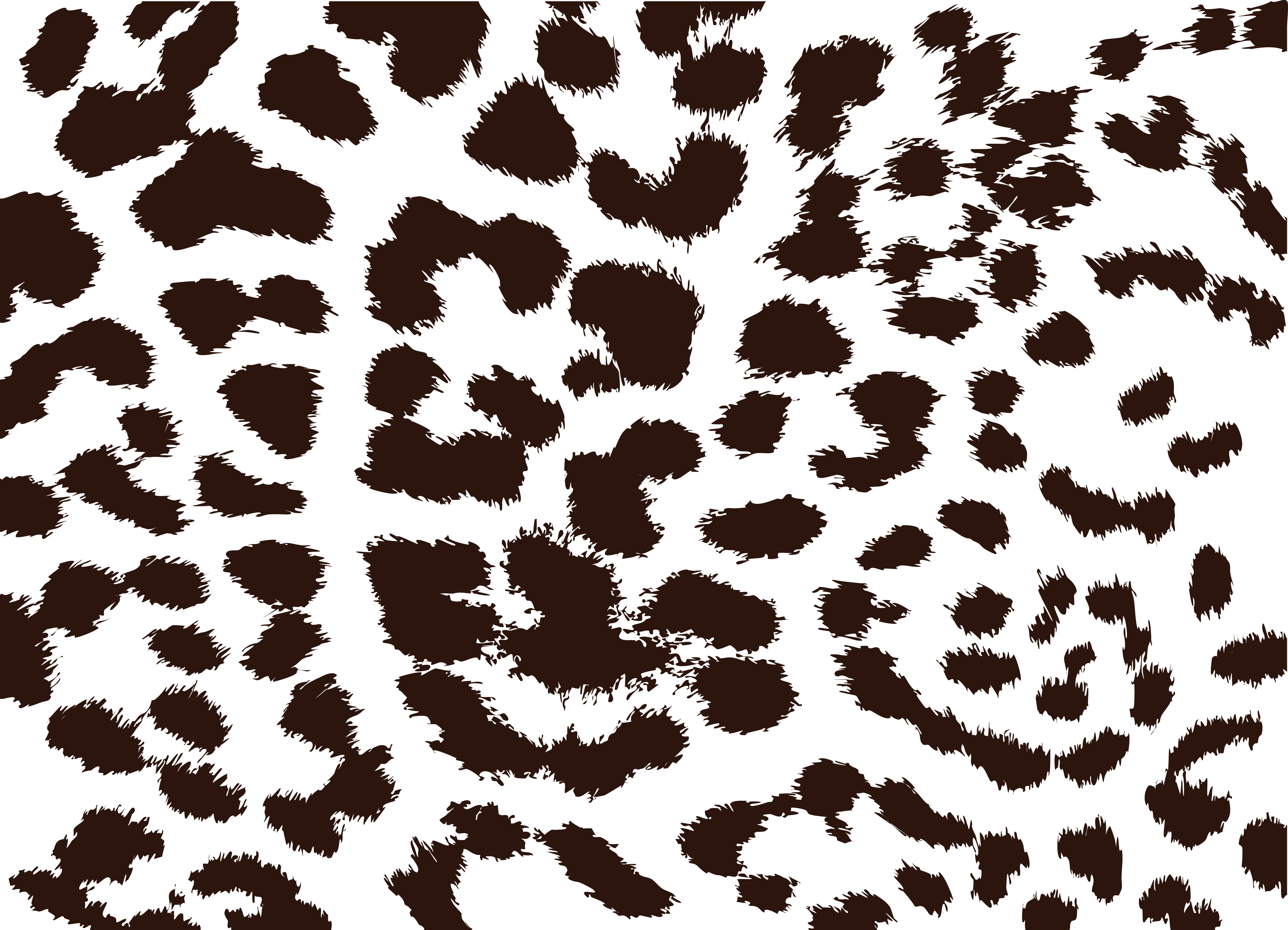 Cheetah Print Vector At Vectorified Com Collection Of Cheetah Print   Cheetah Print Vector 14 