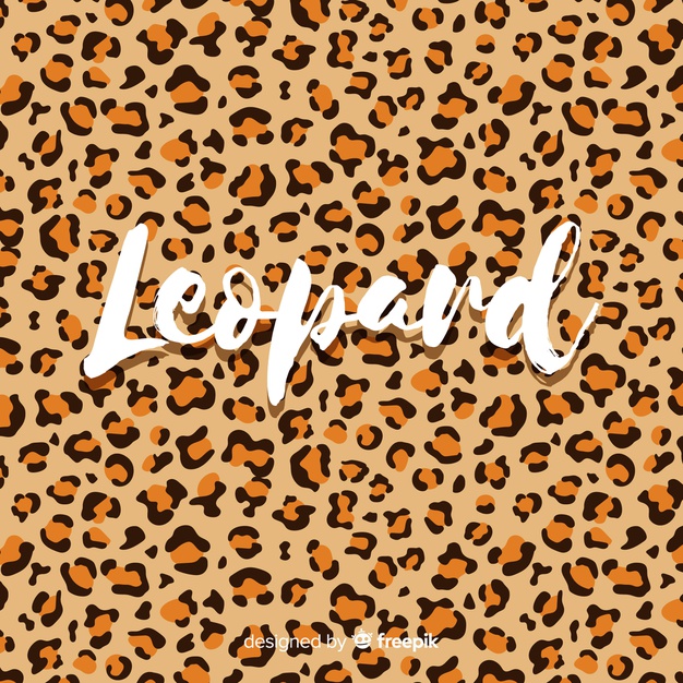 626x626 Leopard Vectors, Photos And Free Download