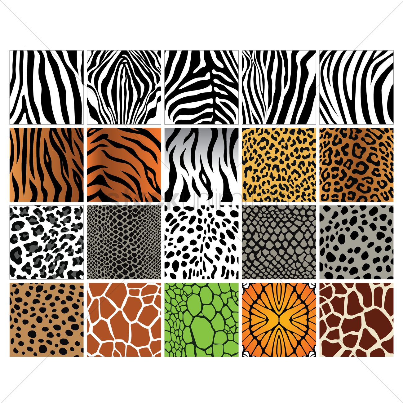1300x1300 Set Of Animal Print Backgrounds Vector Image