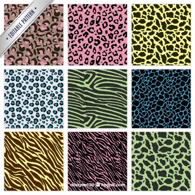 626x626 Animal Print Vectors, Photos And Free Download