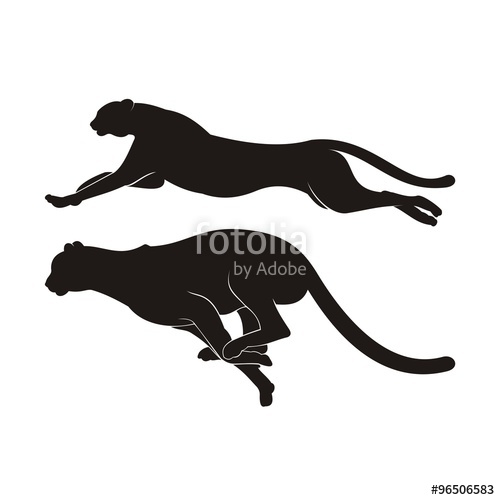 Black Silhouette Of Cheetah Vector Stock Image And Royalty Free 500x500 Black Silhouette Of Cheetah Vector Stock Image And Royalty Free