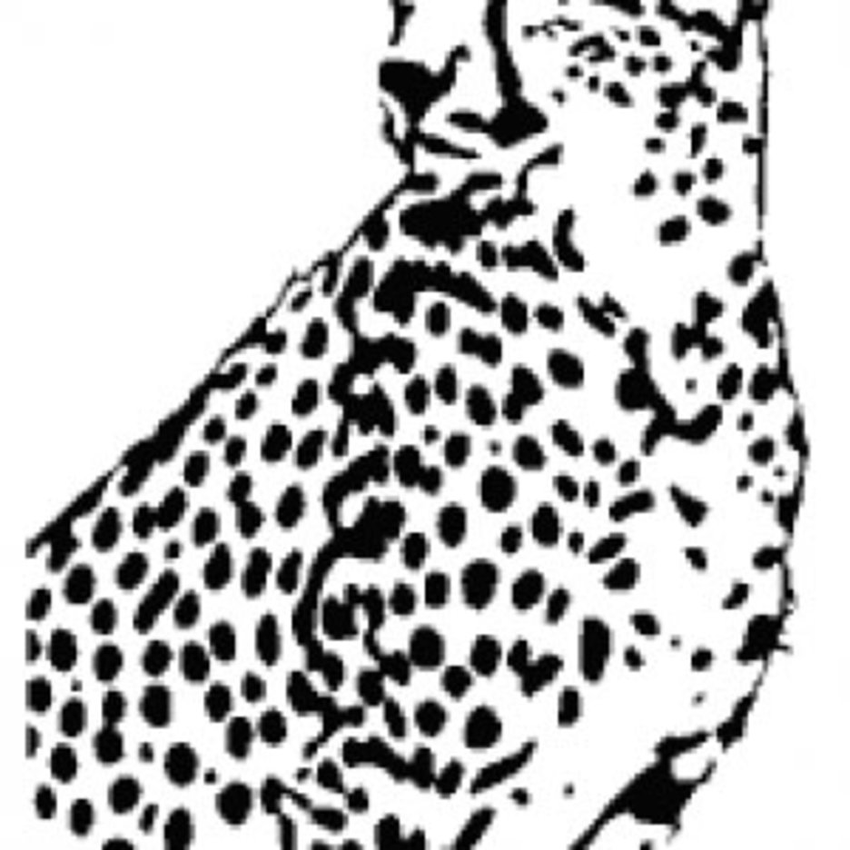 Cheetah Vector Freevectors 936x936 Cheetah Vector Freevectors