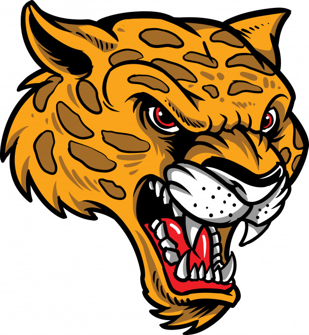 Cheetah Vector Premium Download 626x677 Cheetah Vector Premium Download
