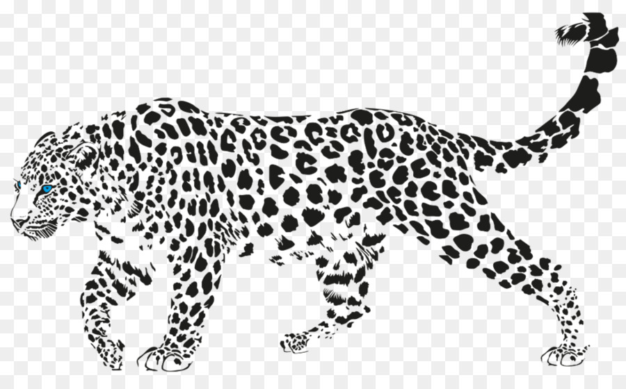 Leopard Cheetah Vector Graphics Illustration Image 900x560 Leopard Cheetah Vector Graphics Illustration Image