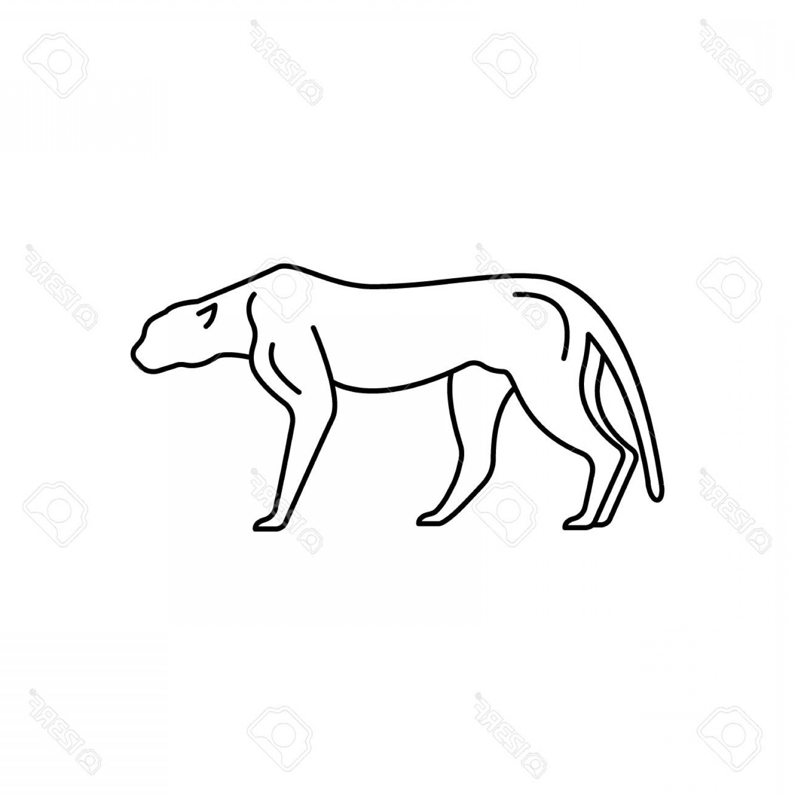 Photostock Vector Cheetah Icon Outline Cheetah Vector Icon For Web 1560x1560 Photostock Vector Cheetah Icon Outline Cheetah Vector Icon For Web