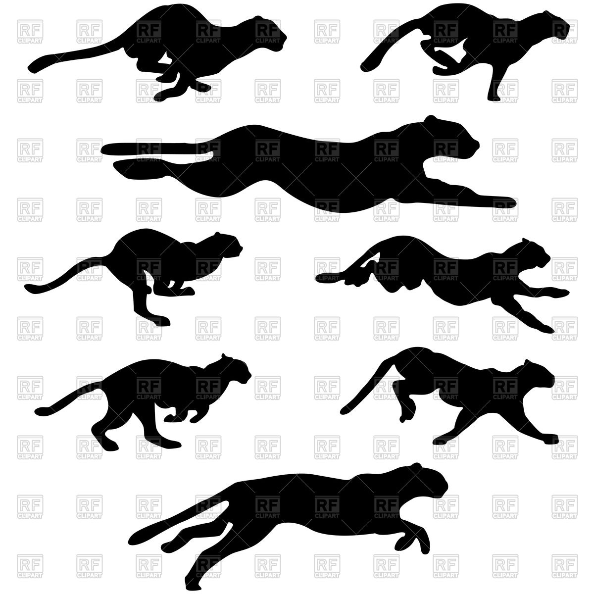Silhouettes Of Running Wildcats 1200x1200 Silhouettes Of Running Wildcats
