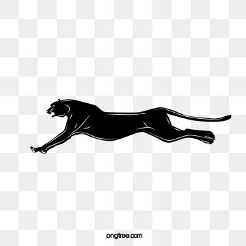Cheetah Png, Vector, And Clipart With Transparent Background 360x360 Cheetah Png, Vector, And Clipart With Transparent Background