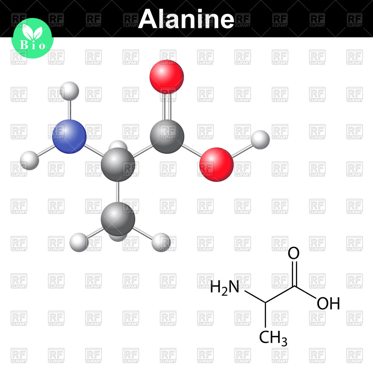 1200x1200 Alanine Chemical Structure And Model, Organic Chemistry Vector