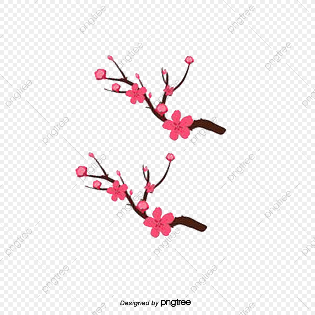 Cherry Decorated Branches Vector Hand Painted, Cherry Blossoms 1200x1200 Cherry Decorated Branches Vector Hand Painted, Cherry Blossoms