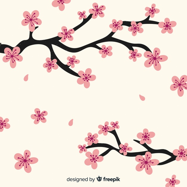 Hand Drawn Cherry Blossom Branch Vector Free Download 626x626 Hand Drawn Cherry Blossom Branch Vector Free Download