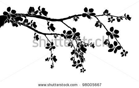 Black Branch Of Beautiful Seasonal Cherry Blossom 450x284 Black Branch Of Beautiful Seasonal Cherry Blossom