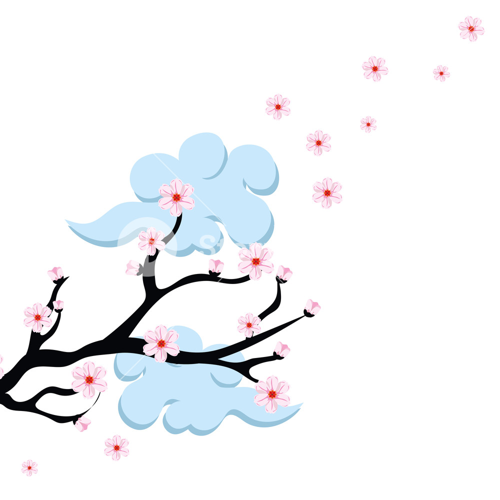 Cherry Blossom Branch With Clouds Vector Illustration Graphic 1000x1000 Cherry Blossom Branch With Clouds Vector Illustration Graphic