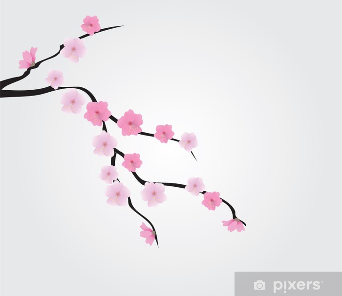 Vector Cherry Blossom Branch Wall Mural 700x607 Vector Cherry Blossom Branch Wall Mural
