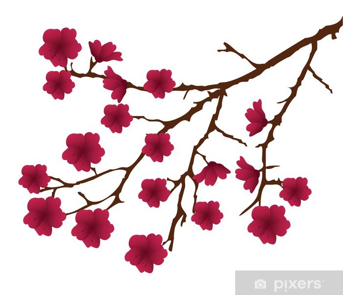 Vector Cherry Blossom Branch With Red Flowers Wall Mural Pixers 700x601 Vector Cherry Blossom Branch With Red Flowers Wall Mural Pixers