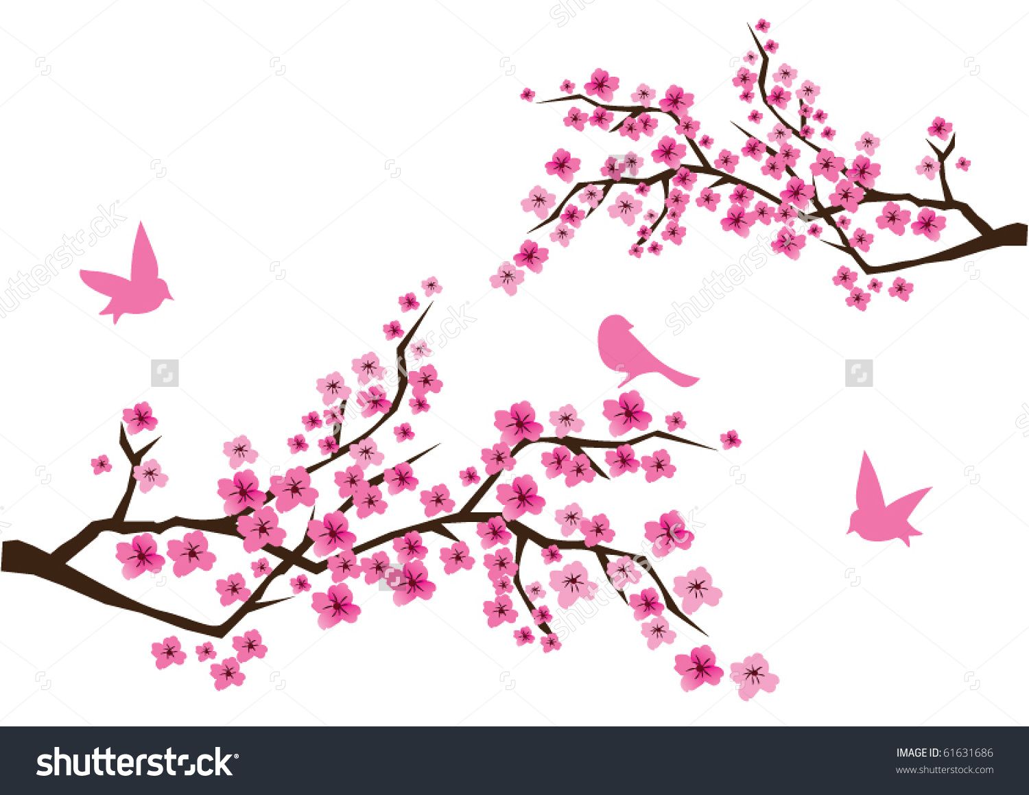 Vector Cherry Blossom Branches With Pink Flowers And Birds Nature 1500x1159 Vector Cherry Blossom Branches With Pink Flowers And Birds Nature