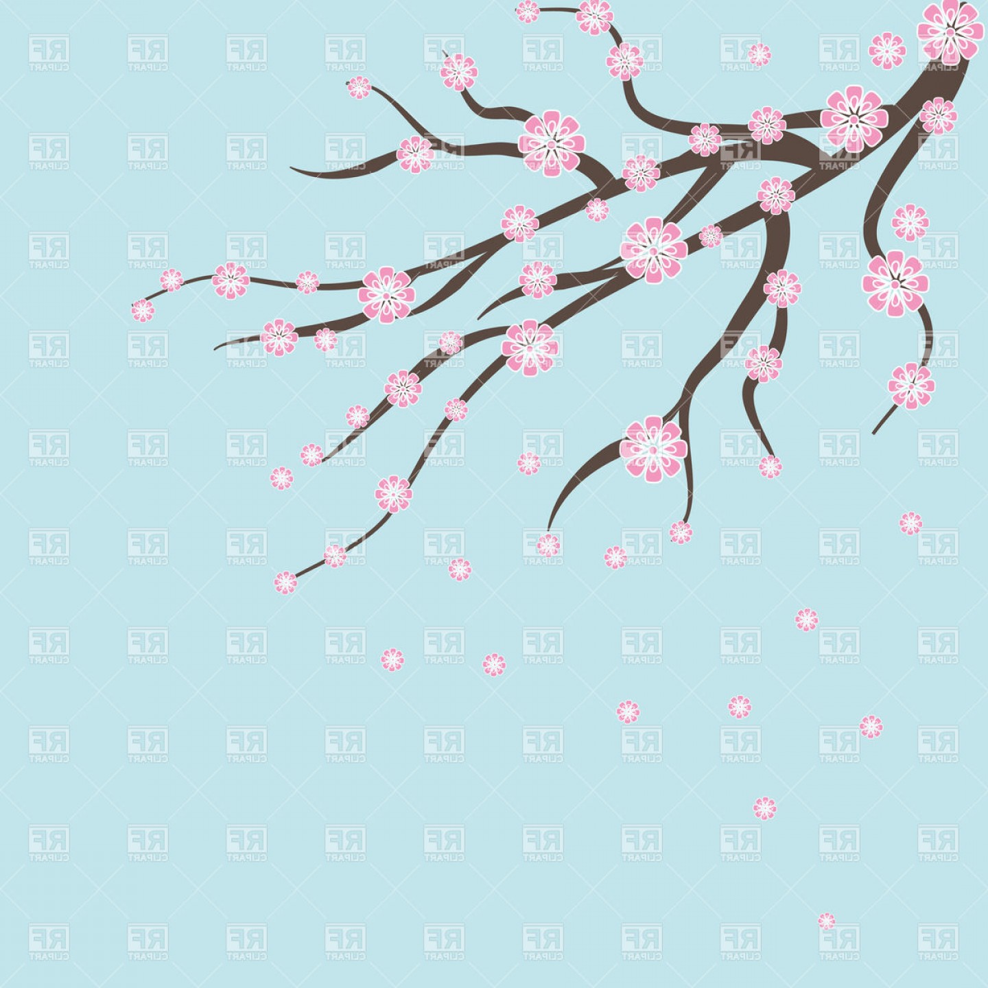 1440x1440 Cherry Blossom Sakura Branch With Pink Flower Vector Clipart