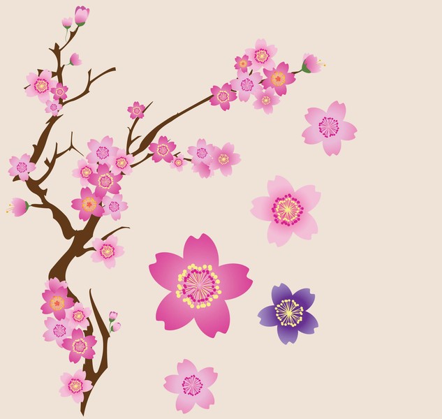 633x600 Cherry Blossoms Vector Clip Arts, Clip Art