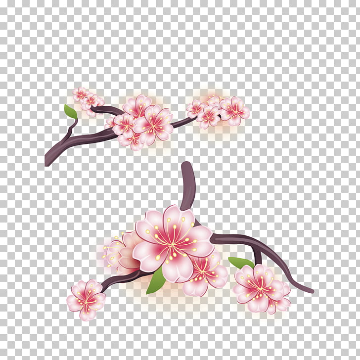 728x728 Cherry Blossom Flower, Japanese Cherry Blossoms, Pink Petaled