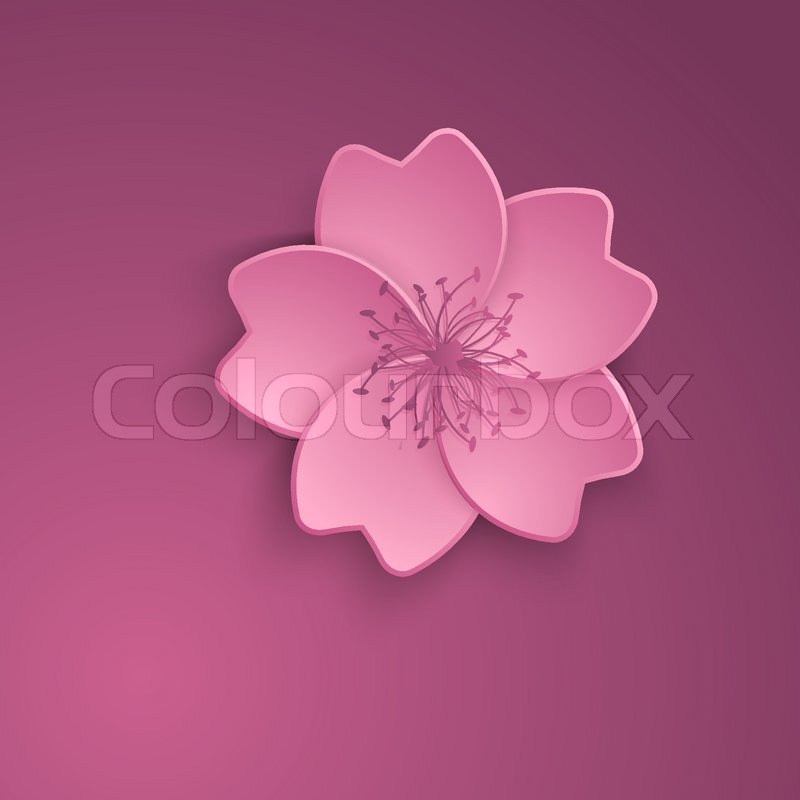 800x800 Cherry Blossom Sakura Flowers Vector Stock Vector Colourbox