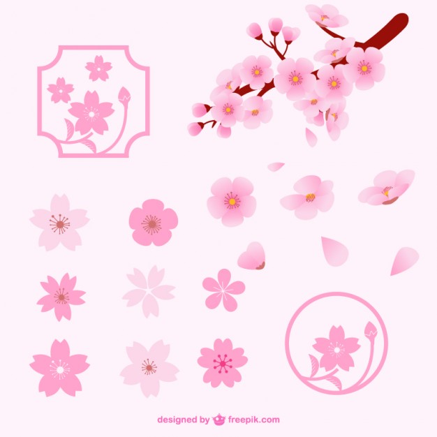 626x626 Different Cherry Blossom Flowers Vector Free Download