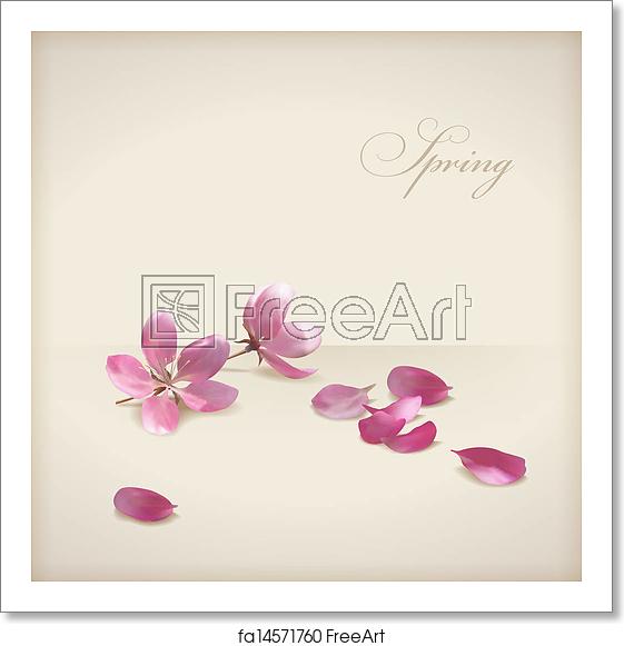 561x581 Free Art Print Of Floral Vector Cherry Blossom Flowers Spring