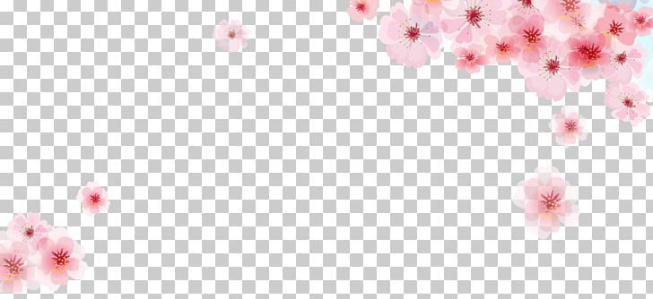 728x334 Pink Cherry Blossom Flower Png, Clipart, Blossoms Vector, Border