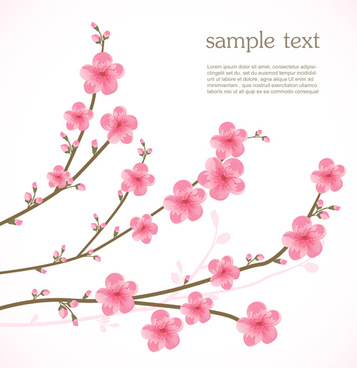 357x368 Spring Pink Cherry Blossoms Free Vector Download