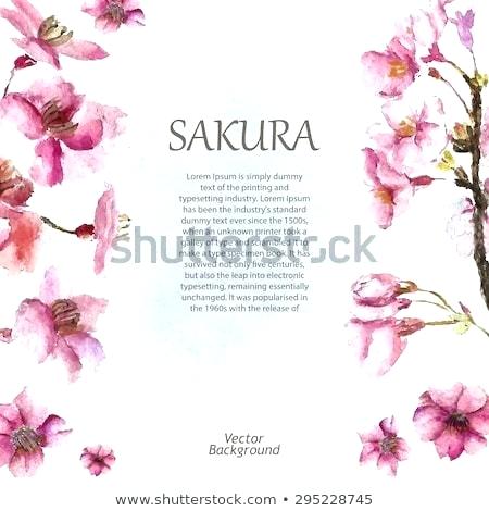 450x470 Draw Cherry Blossom Nas