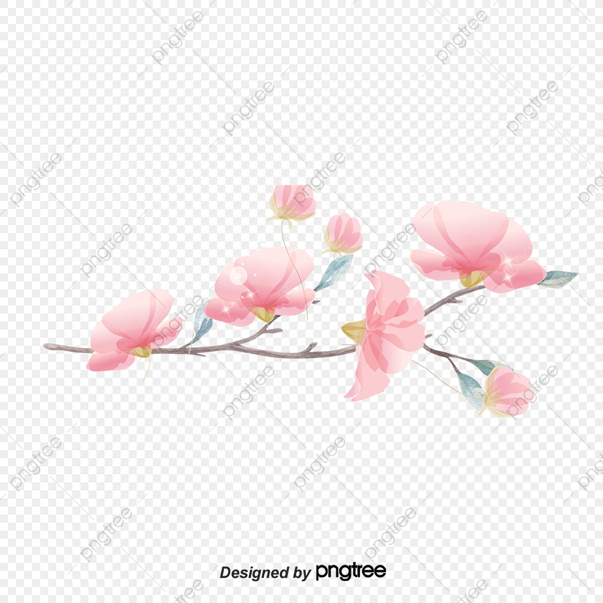 1200x1200 Cherry Blossoms Pattern Light Pink, Cherry Vector, Pattern Vector