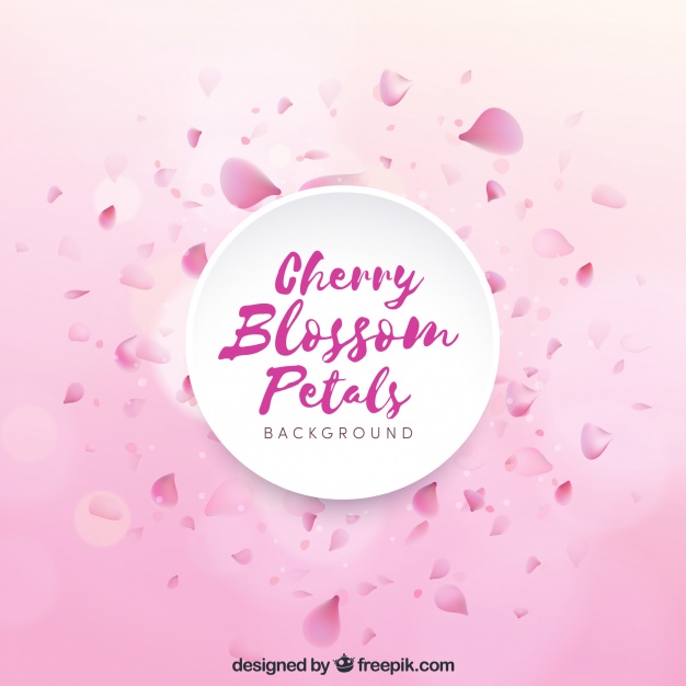 Cherry Blossom Petals Vector