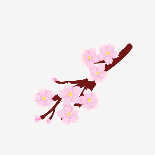 640x640 Cherry Blossom Vector Petals, Vector Petals, Pink, Sakura Png