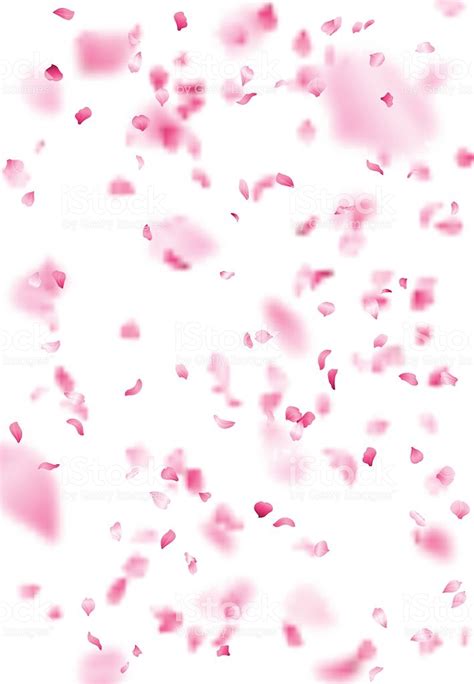 474x684 Cherry Petals
