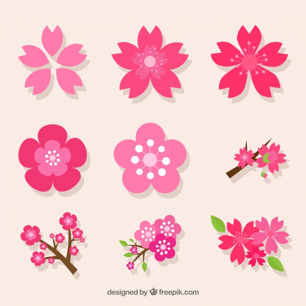 626x626 Flower Petal Vectors, Photos And Free Download