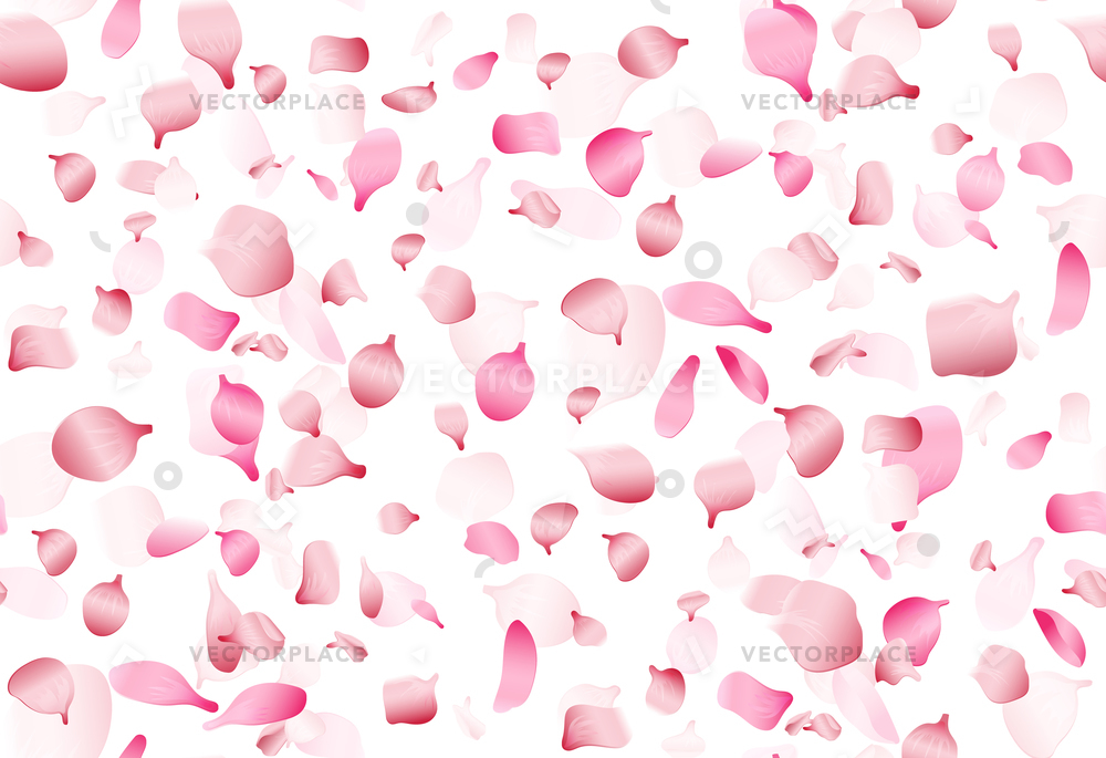 1000x685 Flying Pink Japan Sakura Cherry Or Vector Illustration