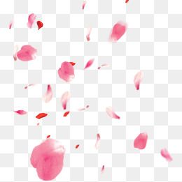 260x261 Free Floating Cherry Blossom Petals Png Pull Material, Float