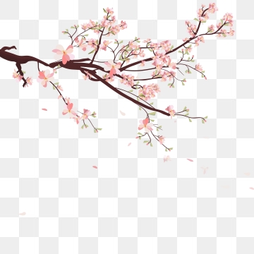 360x360 Petal Vector, Graphic Resources For Free Download