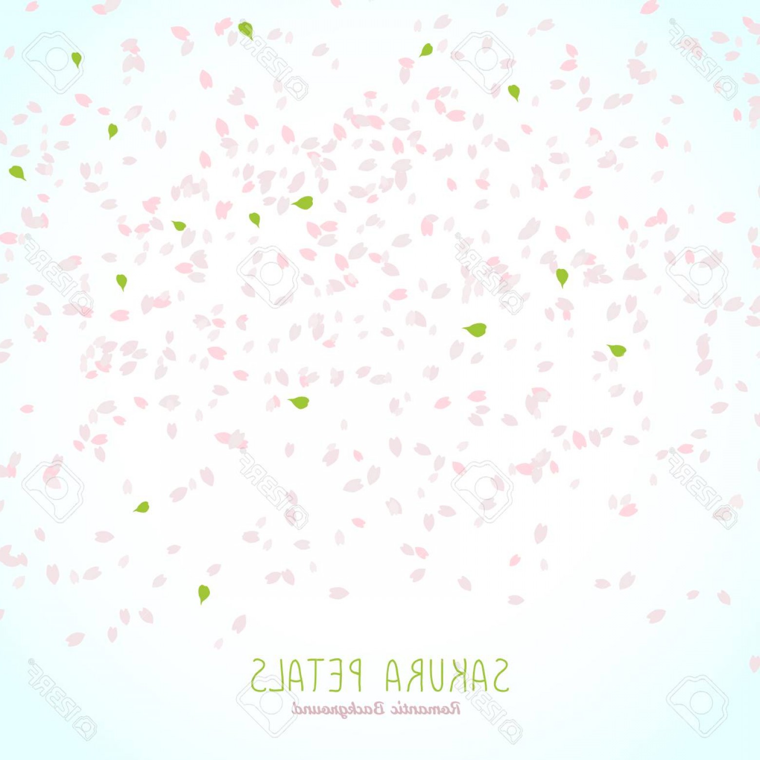 1560x1560 Photostock Vector Falling Sakura Petals Text Frame Cherry Blossoms