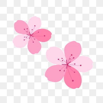 360x360 Sakura Petals Png Images Vector And Free Download