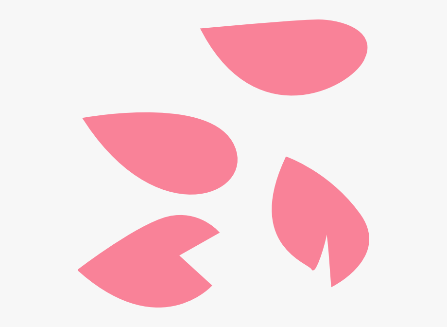 920x672 Cherry Blossom Petal Vector Transparent Cartoon, Free Cliparts