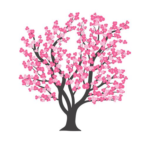 490x490 Cherry Blossom Tree In Vector Illustration