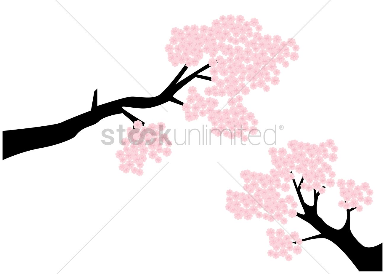 1300x924 Cherry Blossom Tree Vector Image