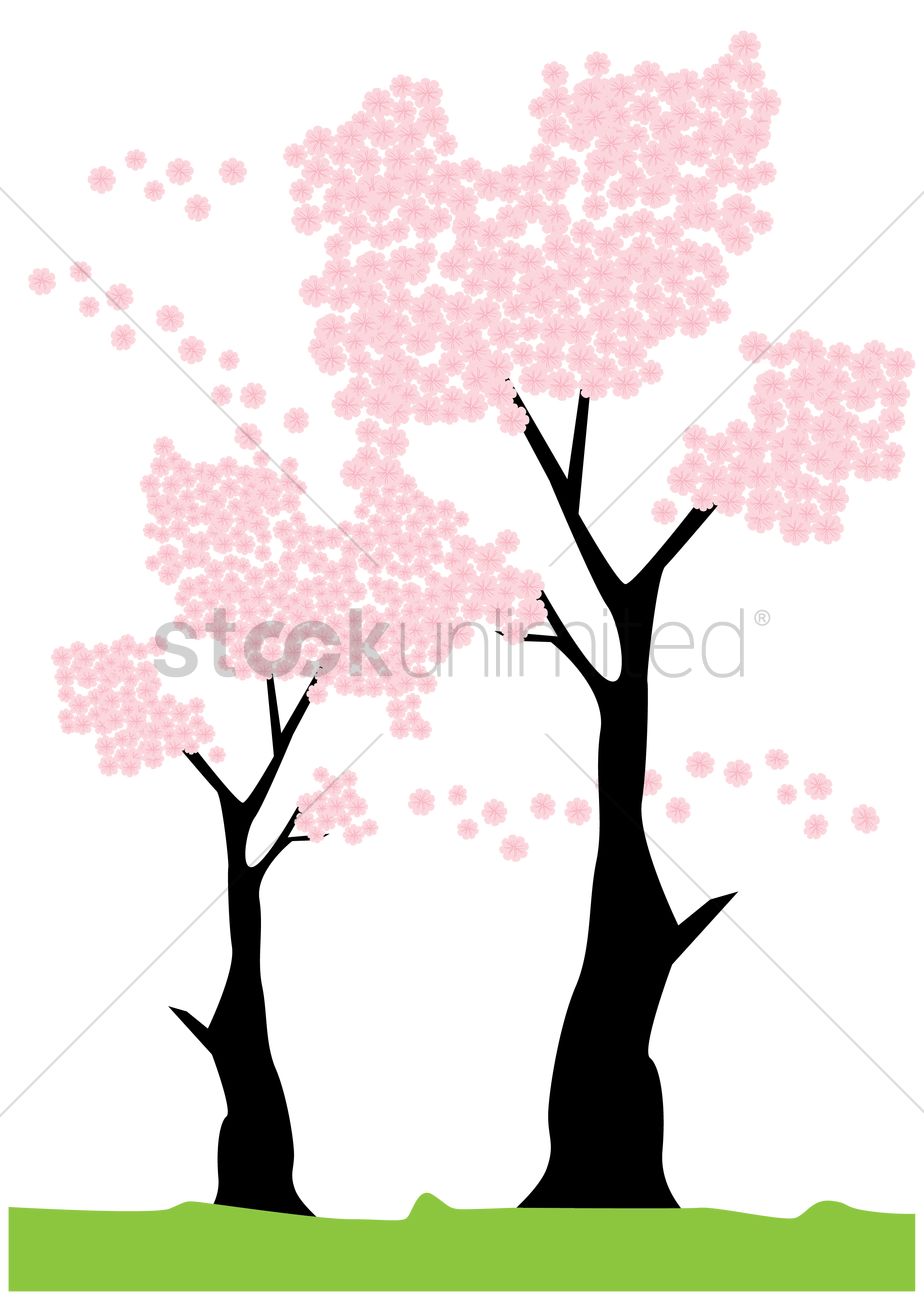 924x1300 Cherry Blossom Tree Vector Image