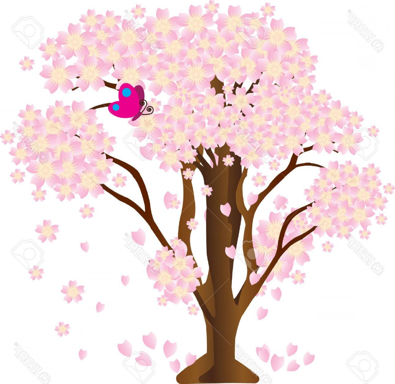 1560x1515 Photostock Vector Sakura Vector Cherry Blossom Tree Vector